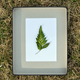 Illustration for article titled How to Make Photographic Prints Without a Camera or Chemicals